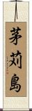 茅苅島 Scroll