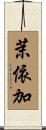 茉依加 Scroll