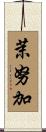 茉努加 Scroll