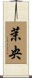 茉央 Scroll