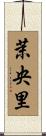 茉央里 Scroll