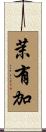 茉有加 Scroll