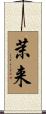 茉来 Scroll