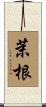 茉根 Scroll
