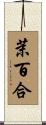 茉百合 Scroll