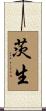 茨生 Scroll