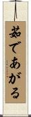 茹であがる Scroll
