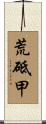 荒砥甲 Scroll