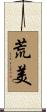 荒美 Scroll