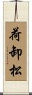 荷卸松 Scroll