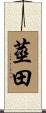 莖田 Scroll