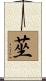 莝 Scroll