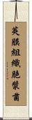 莢膜組織胞漿菌 Scroll