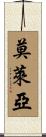 Molea Scroll