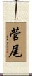 菅尾 Scroll