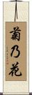 菊乃花 Scroll