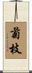 菊枝 Scroll