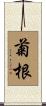 菊根 Scroll