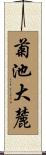 菊池大麓 Scroll