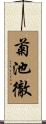菊池徹 Scroll