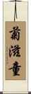 菊滋童 Scroll