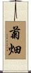 菊畑 Scroll