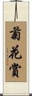 菊花賞 Scroll
