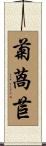 菊萵苣 Scroll