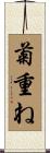 菊重ね Scroll