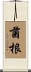 菌根 Scroll