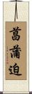 菖蒲迫 Scroll
