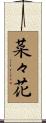 菜々花 Scroll
