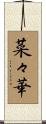 菜々華 Scroll