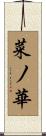 菜ノ華 Scroll