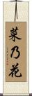 菜乃花 Scroll
