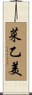 菜乙美 Scroll