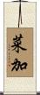 菜加 Scroll