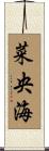 菜央海 Scroll