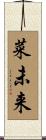 菜未来 Scroll