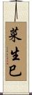 菜生巳 Scroll