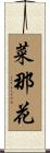 菜那花 Scroll