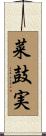 菜鼓実 Scroll