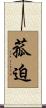 菰迫 Scroll