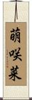 萌咲菜 Scroll