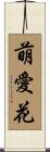 萌愛花 Scroll