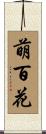 萌百花 Scroll