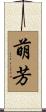 萌芳 Scroll