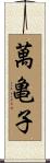 萬亀子 Scroll