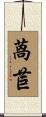 萵苣 Scroll