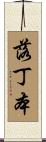 落丁本 Scroll